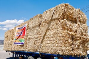 IMG 20260423 WA0173 300x200